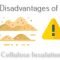 disadvantages of cellulose insulation
