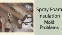 spray foam insulation mold problems