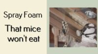 spray foam that mice wont eat