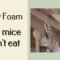 spray foam that mice wont eat
