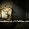 disadvantages of cellulose insulation